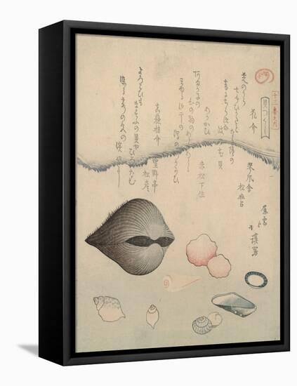 Aragai, Masu?gai, Anagai: Clams-Totoya Hokkei-Framed Premier Image Canvas