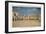 Aragon Ballroom, Chicago, Illinois-null-Framed Art Print