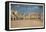 Aragon Ballroom, Chicago, Illinois-null-Framed Stretched Canvas
