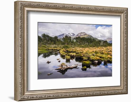 Arakur Nature Reserve, Argentina-Matthew Williams-Ellis-Framed Photographic Print