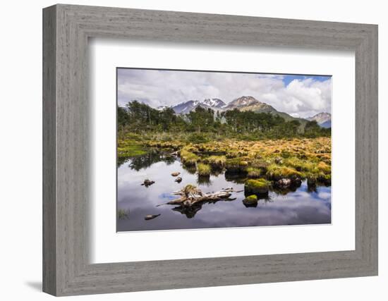 Arakur Nature Reserve, Argentina-Matthew Williams-Ellis-Framed Photographic Print