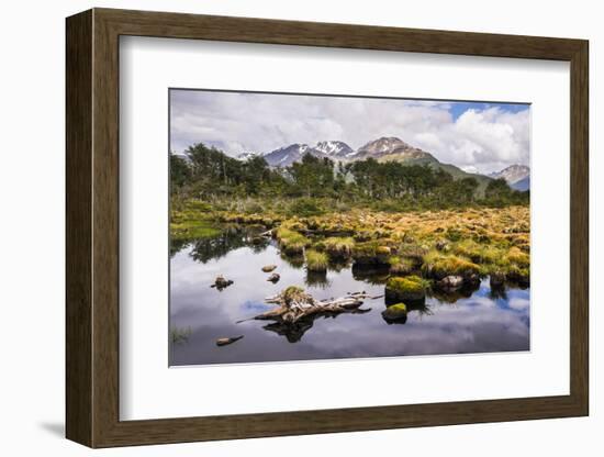 Arakur Nature Reserve, Argentina-Matthew Williams-Ellis-Framed Photographic Print