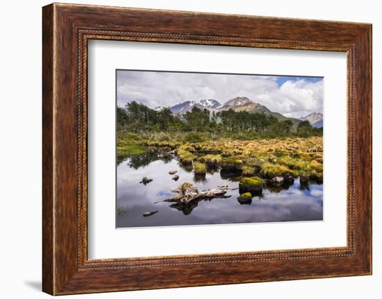 Arakur Nature Reserve, Argentina-Matthew Williams-Ellis-Framed Photographic Print