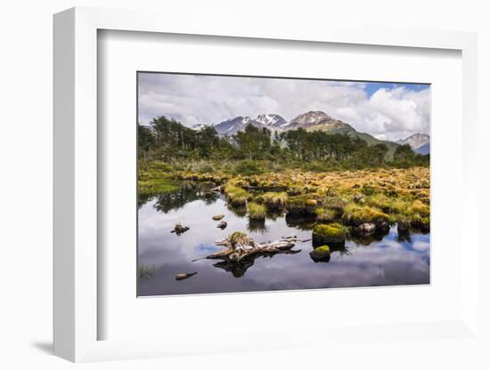 Arakur Nature Reserve, Argentina-Matthew Williams-Ellis-Framed Photographic Print