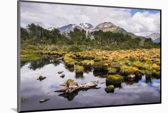 Arakur Nature Reserve, Argentina-Matthew Williams-Ellis-Mounted Photographic Print