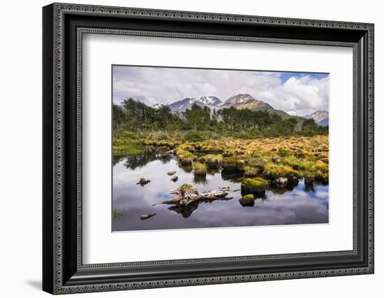 Arakur Nature Reserve, Argentina-Matthew Williams-Ellis-Framed Photographic Print