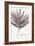 Aralia Leaf-Aimee Wilson-Framed Art Print