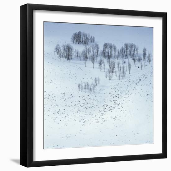 Arapaho National Forest-Micha Pawlitzki-Framed Photographic Print