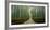 Arashiyama bamboo forest, Kyoto Prefecture, Kinki Region, Honshu, Japan-Panoramic Images-Framed Photographic Print