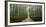 Arashiyama bamboo forest, Kyoto Prefecture, Kinki Region, Honshu, Japan-Panoramic Images-Framed Photographic Print