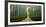 Arashiyama bamboo forest, Kyoto Prefecture, Kinki Region, Honshu, Japan-Panoramic Images-Framed Photographic Print