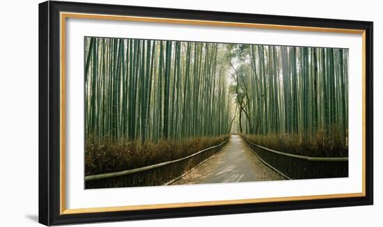 Arashiyama bamboo forest, Kyoto Prefecture, Kinki Region, Honshu, Japan-Panoramic Images-Framed Photographic Print