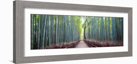 Arashiyama Bamboo Grove, Kyoto, Japan-Simonbyrne-Framed Photographic Print