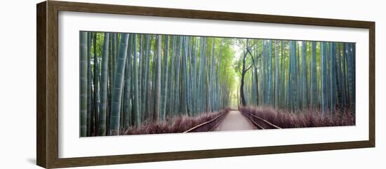 Arashiyama Bamboo Grove, Kyoto, Japan-Simonbyrne-Framed Photographic Print