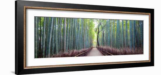 Arashiyama Bamboo Grove, Kyoto, Japan-Simonbyrne-Framed Photographic Print