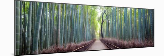 Arashiyama Bamboo Grove, Kyoto, Japan-Simonbyrne-Mounted Photographic Print