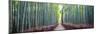 Arashiyama Bamboo Grove, Kyoto, Japan-Simonbyrne-Mounted Photographic Print