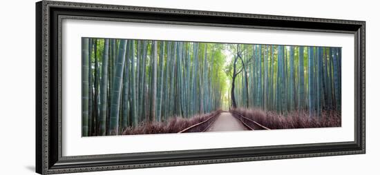 Arashiyama Bamboo Grove, Kyoto, Japan-Simonbyrne-Framed Photographic Print