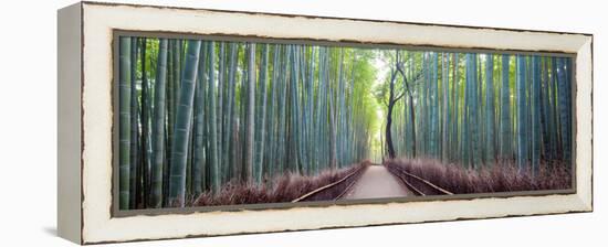 Arashiyama Bamboo Grove, Kyoto, Japan-Simonbyrne-Framed Premier Image Canvas