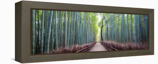 Arashiyama Bamboo Grove, Kyoto, Japan-Simonbyrne-Framed Premier Image Canvas