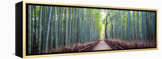 Arashiyama Bamboo Grove, Kyoto, Japan-Simonbyrne-Framed Premier Image Canvas