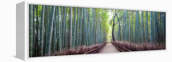 Arashiyama Bamboo Grove, Kyoto, Japan-Simonbyrne-Framed Premier Image Canvas