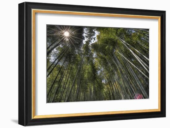 Arashiyama Bamboo Grove-null-Framed Art Print