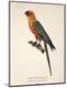 Premium Giclee Print