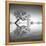 Arbol en Agua 3 BN-Moises Levy-Framed Premier Image Canvas