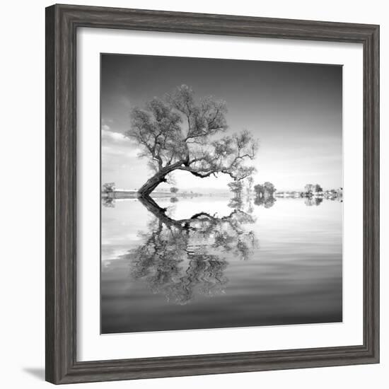 Arbol en Agua 3 BN-Moises Levy-Framed Photographic Print