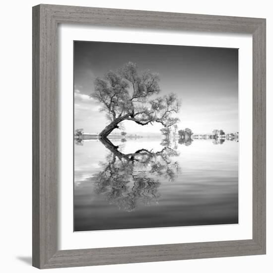 Arbol en Agua 3 BN-Moises Levy-Framed Photographic Print