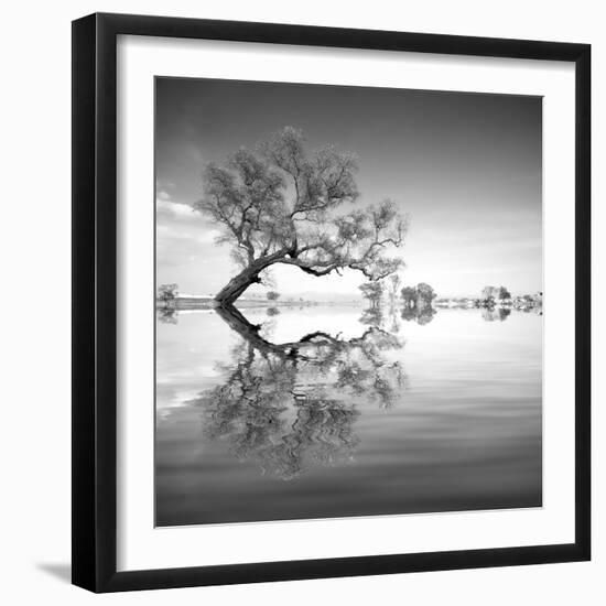 Arbol en Agua 3 BN-Moises Levy-Framed Photographic Print