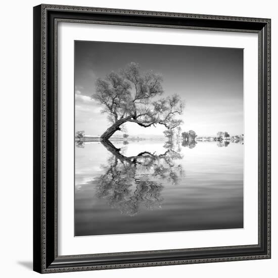 Arbol en Agua 3 BN-Moises Levy-Framed Photographic Print