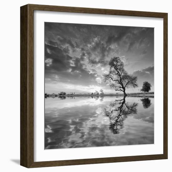 Arbol en Agua 5 BN-Moises Levy-Framed Photographic Print