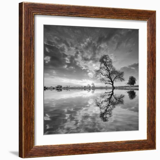 Arbol en Agua 5 BN-Moises Levy-Framed Photographic Print