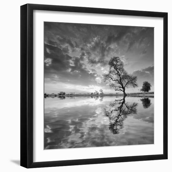 Arbol en Agua 5 BN-Moises Levy-Framed Photographic Print