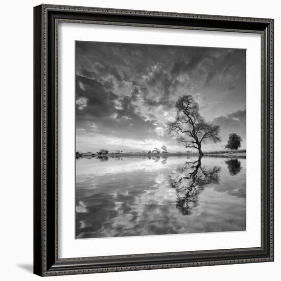 Arbol en Agua 5 BN-Moises Levy-Framed Photographic Print