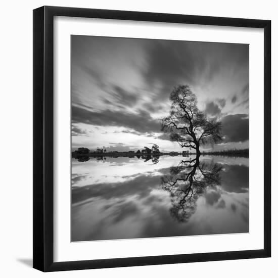 Arbol Solitario en Temoaya color Reflect BN-Moises Levy-Framed Photographic Print