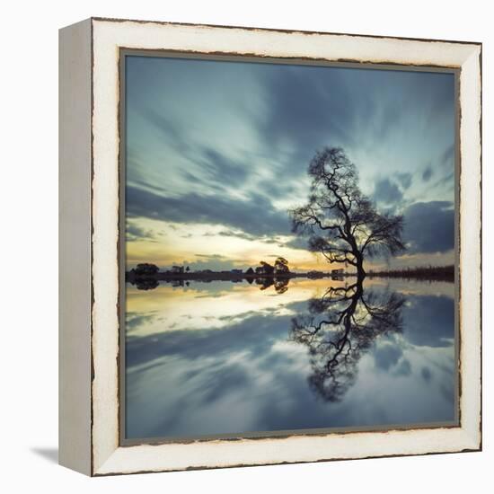 Arbol Solitario en Temoaya Color Reflect-Moises Levy-Framed Premier Image Canvas