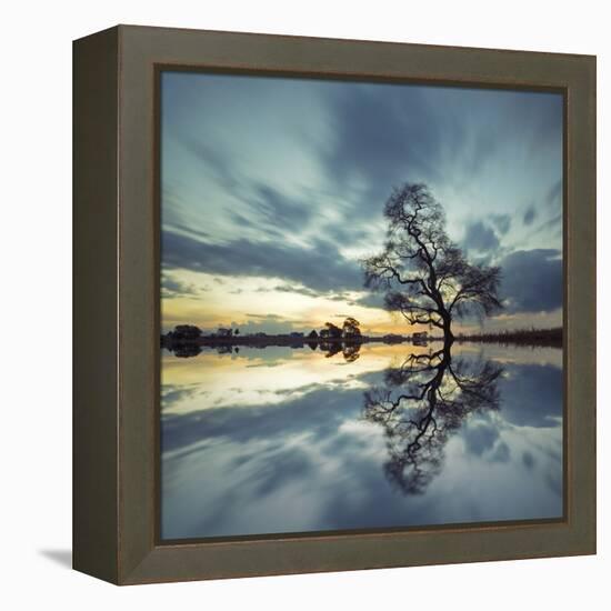 Arbol Solitario en Temoaya Color Reflect-Moises Levy-Framed Premier Image Canvas