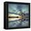 Arbol Solitario en Temoaya Color Reflect-Moises Levy-Framed Premier Image Canvas