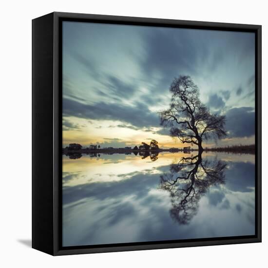 Arbol Solitario en Temoaya Color Reflect-Moises Levy-Framed Premier Image Canvas