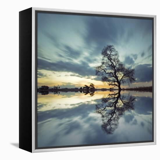 Arbol Solitario en Temoaya Color Reflect-Moises Levy-Framed Premier Image Canvas