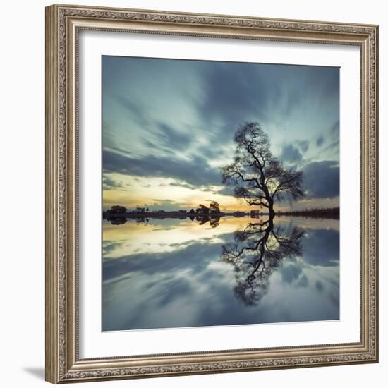 Arbol Solitario en Temoaya Color Reflect-Moises Levy-Framed Photographic Print