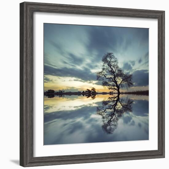 Arbol Solitario en Temoaya Color Reflect-Moises Levy-Framed Photographic Print