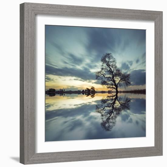 Arbol Solitario en Temoaya Color Reflect-Moises Levy-Framed Photographic Print