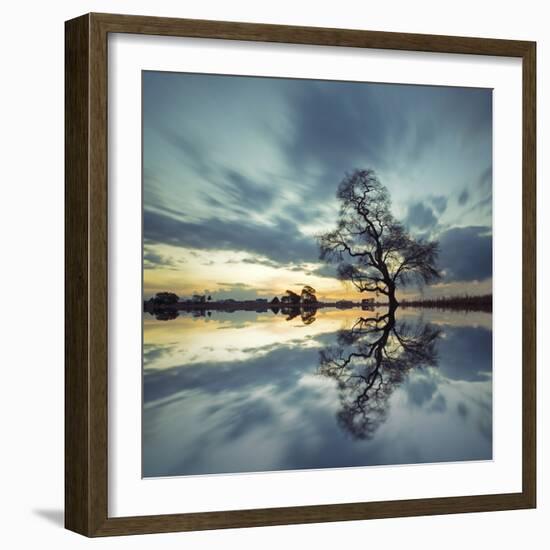 Arbol Solitario en Temoaya Color Reflect-Moises Levy-Framed Photographic Print