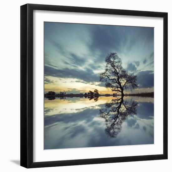 Arbol Solitario en Temoaya Color Reflect-Moises Levy-Framed Photographic Print