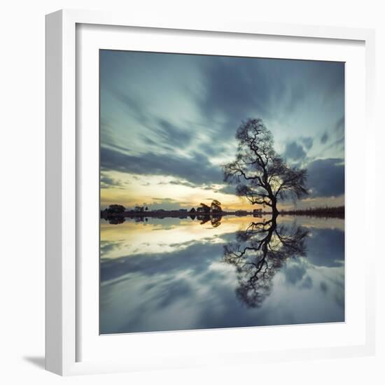 Arbol Solitario en Temoaya Color Reflect-Moises Levy-Framed Photographic Print