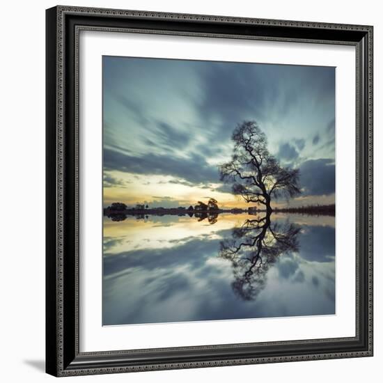 Arbol Solitario en Temoaya Color Reflect-Moises Levy-Framed Photographic Print